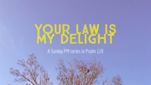 Image for Your Law Is My Delight