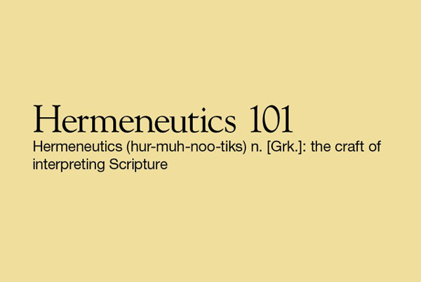 Image for Hermeneutics 101